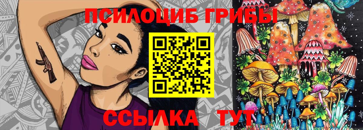 Псилоцибиновые грибы Psilocybe Псков