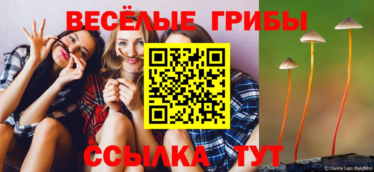 Псилоцибиновые грибы Psilocybe  Вход с VPN  Псков 